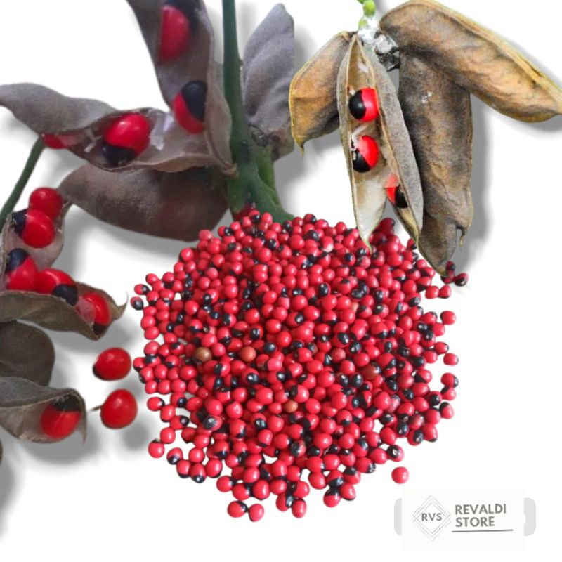 10 biji saga merah bintik hitam