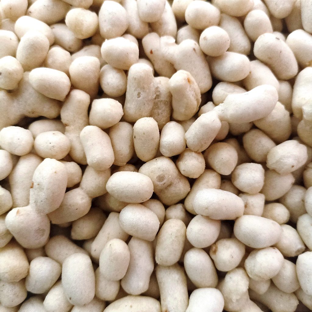 

Pilus Cikur Kencur 250 Gram