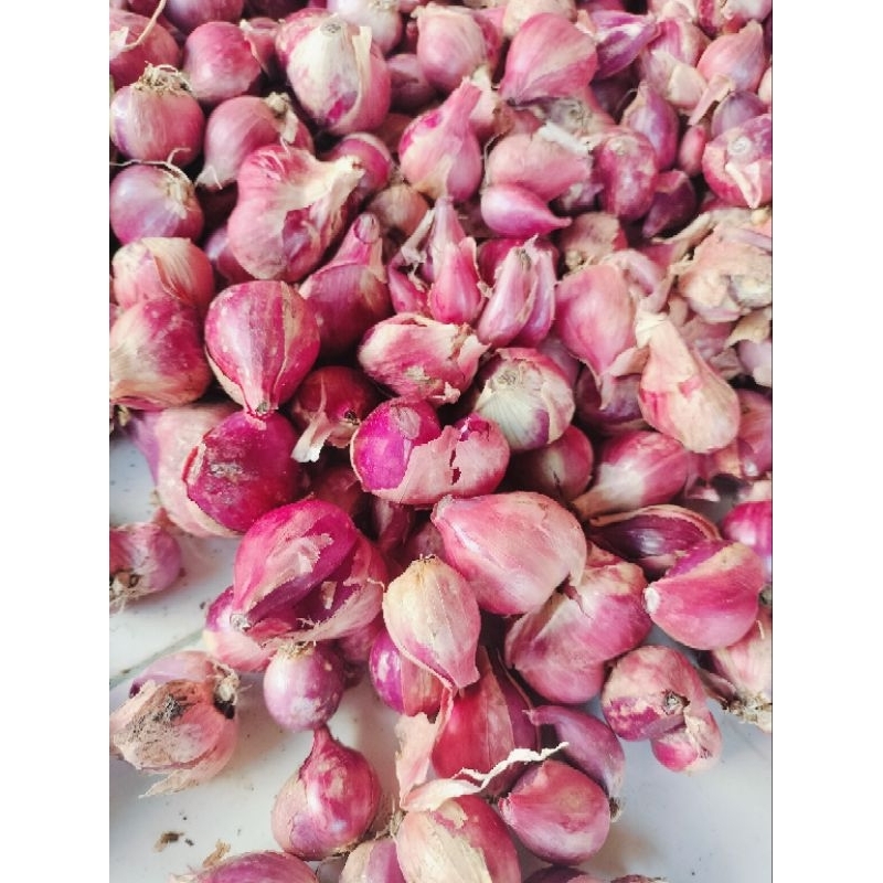 

bawang merah Nganjuk berat 1 kg