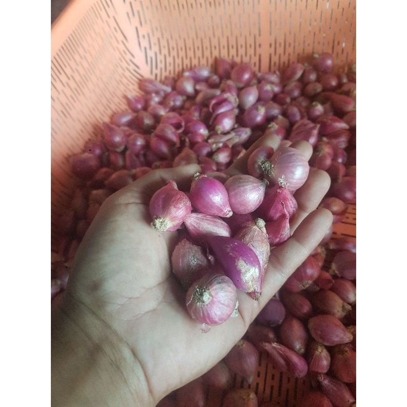 

Bawang merah 1kg 19.000