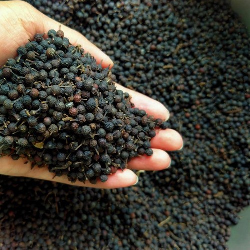 

Biji kemukus / biji lada hutan kering 1 kg murah
