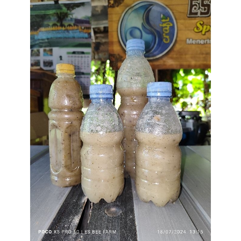 Getah pinus mentah,suplai resin trigona