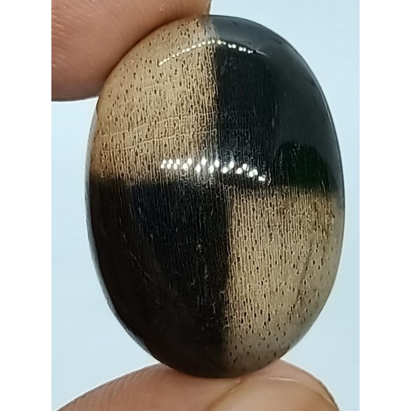 Batu Akik Posil Galih Kel0r Tapak  Hitam Putih