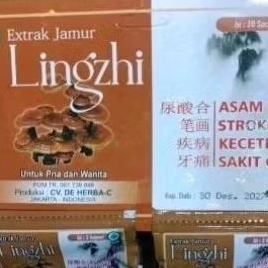 

Extra jamur Lingzhi