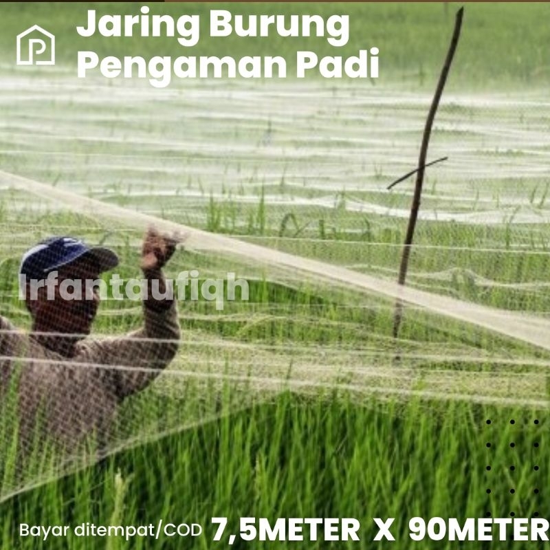 Jaring Burung Emprit Pengaman Padi