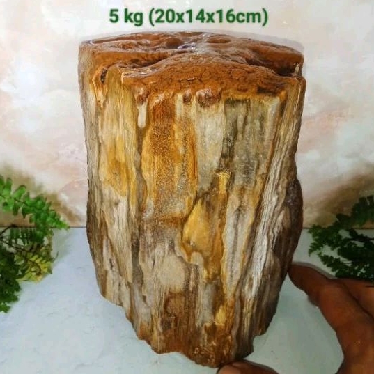 batu galih kelor kristal (490)