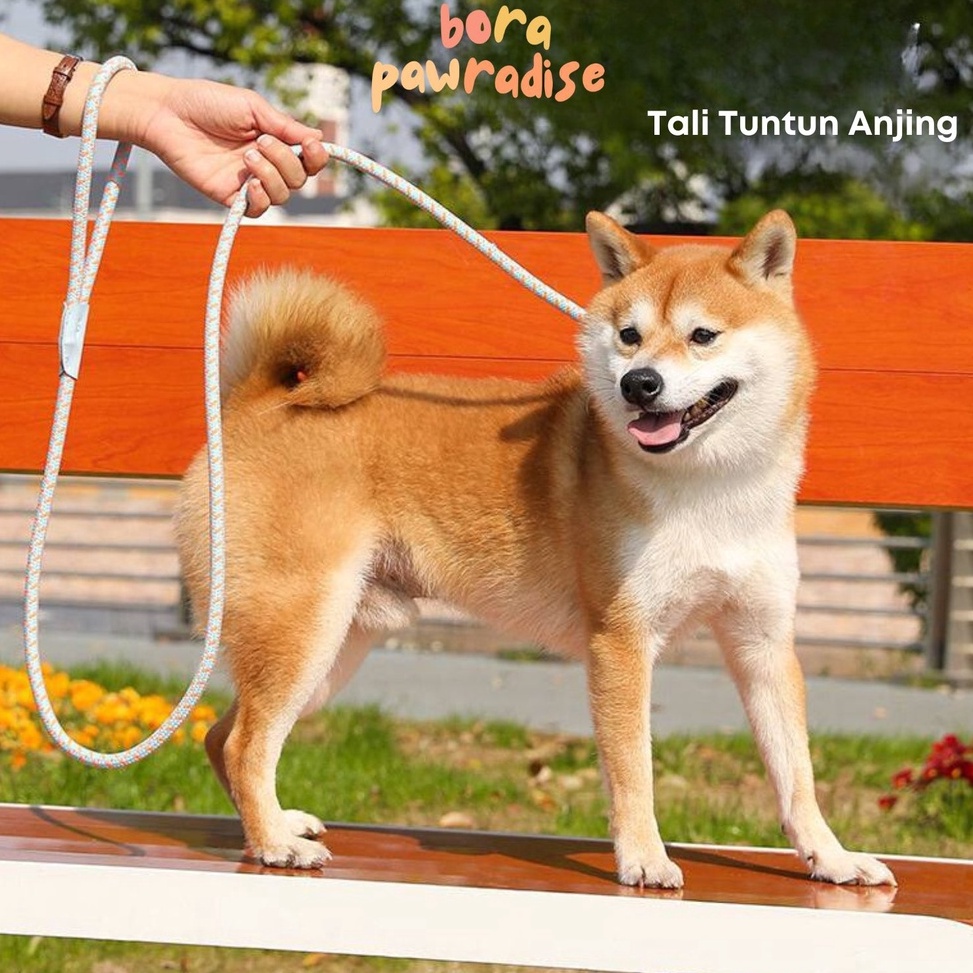 KODE Y87H Leash Anjing Kecil  Tali Tuntun Anjing  Tali Anjing Kecil Kuat  Dog Leash  Rantai Anjing