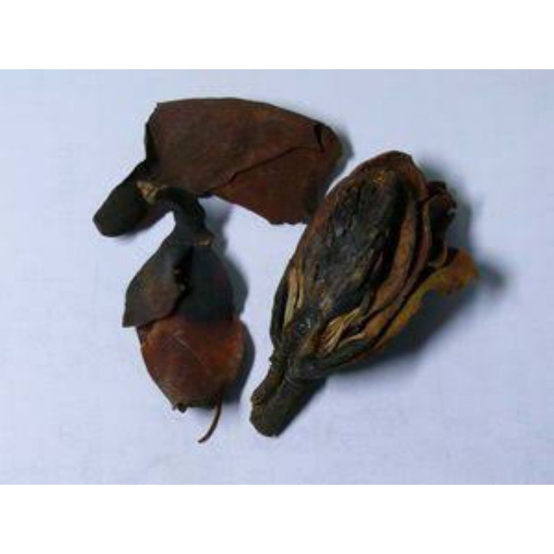 

300 G GR GRAM 川朴花 CHUAN PO HUA 厚朴花 HOU PO HUA FLOS MAGNOLIAE OFFICINALIS