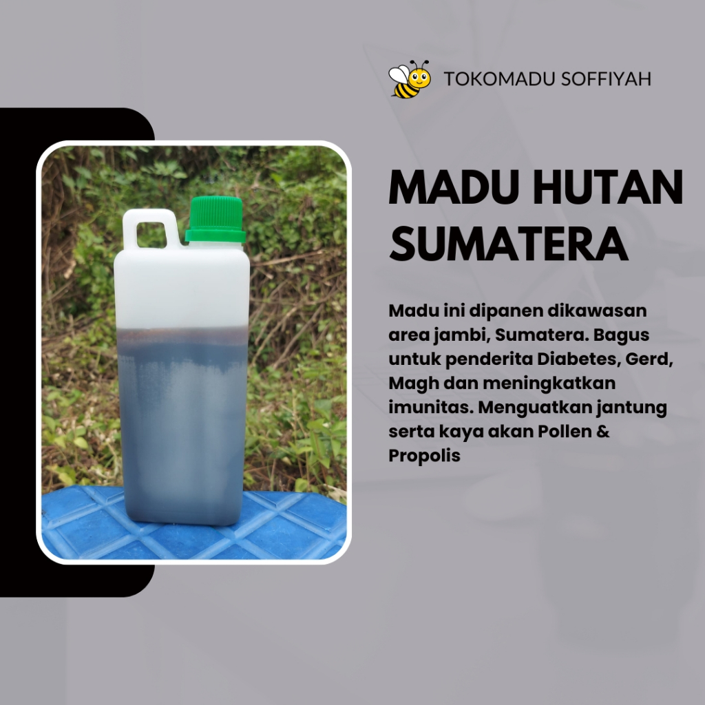 

1kg Madu Hutan Sumatera Murni Asli Mentah 100% Raw Honey