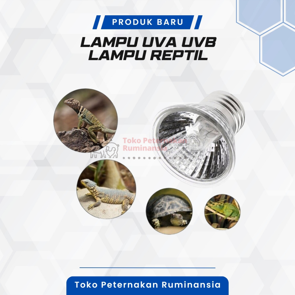 Lampu UVA UVB - Lampu Reptil Kura kura Kadal Iguana dll
