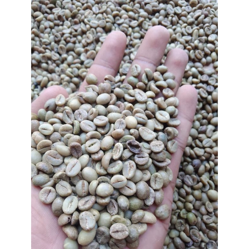 

KOPI ROBUSTA/KOPI ASLI GUNUNG/KOPI PILIHAN MURAH MERIAH 1KG 85 RIBU SAJA