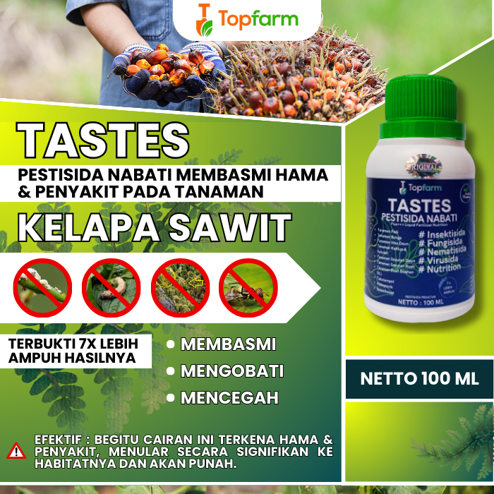 Obat Hama Kelapa Sawit / Obat Mati Pucuk Kelapa Sawit / Obat Untuk Daun Kelapa Sawit / Obat Jamur Da