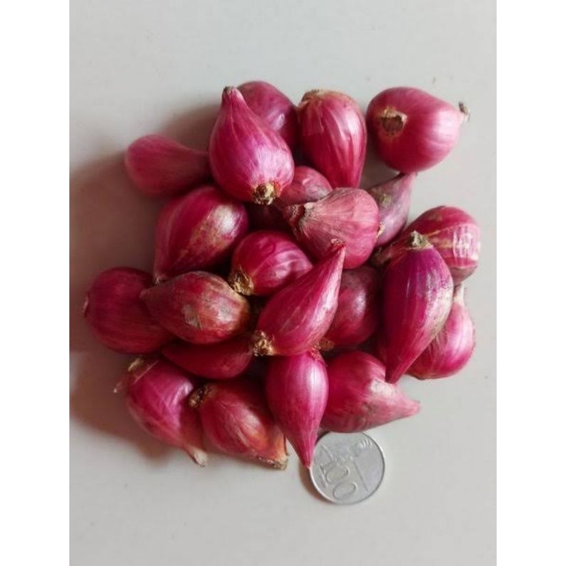 

Bawang Brebes Ukuran Kecil/Bumbu Dapur/PenyedapRasa/COD