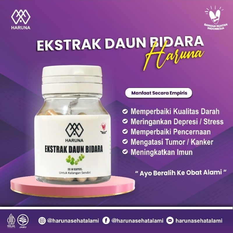 

ekstrak daun bidara