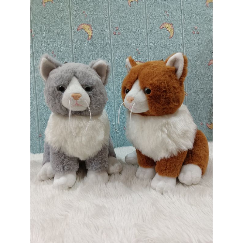 Boneka kucing mantel lucu / kado  lucu / kado ulang tahun anak-anak /remaja / dewasa/ hadiah anniver