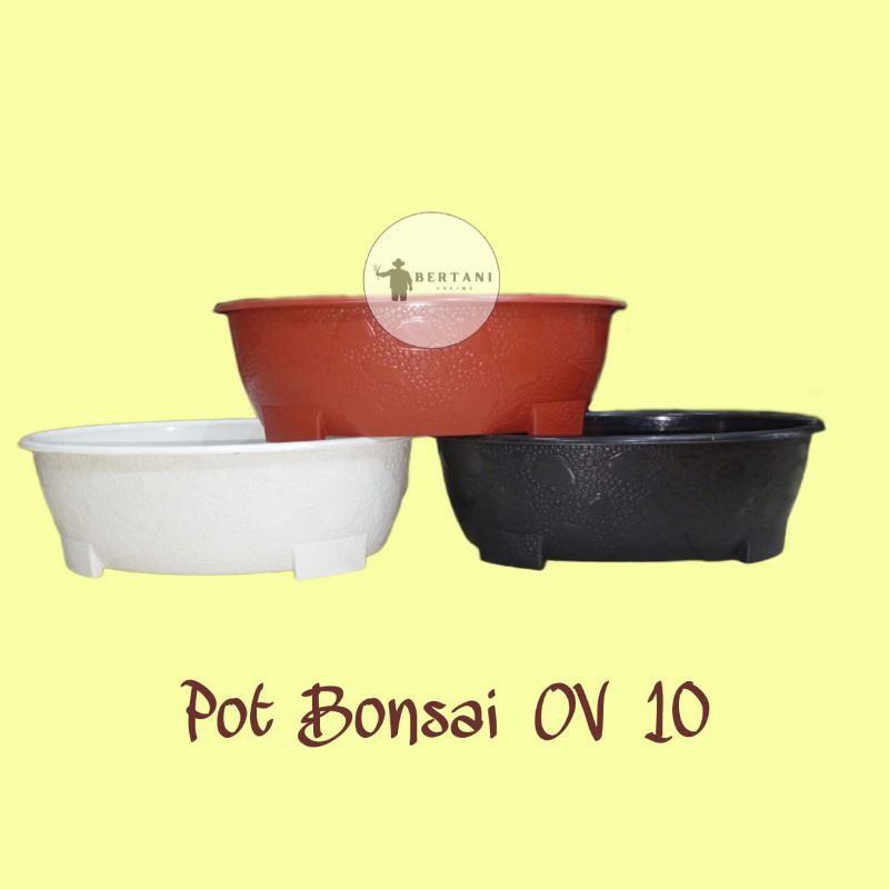 Pot Bonsai OV 10 Budi Jaya Plastik