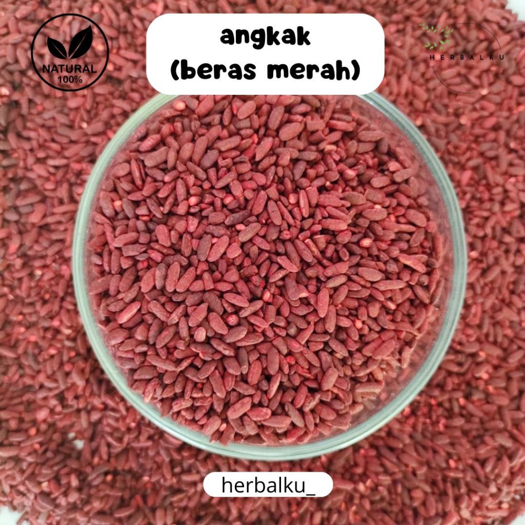 

angkak beras fermentasi