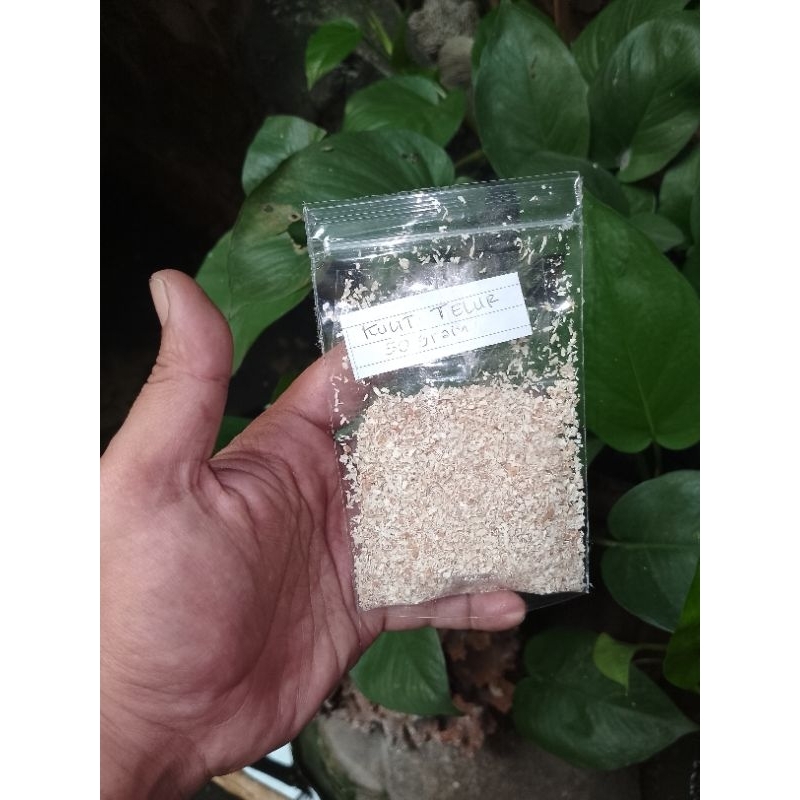

Cangkang telur isi 10 gram