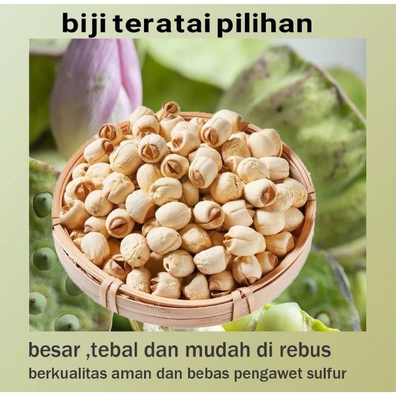 

Mamacia Treats Lotus Seed / Biji Teratai Grade Aaa Kualitas Premium 100 Gram