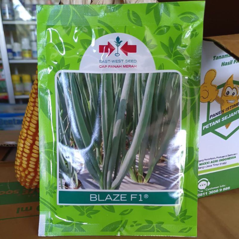 

Daun bawang blaze F1 10grm