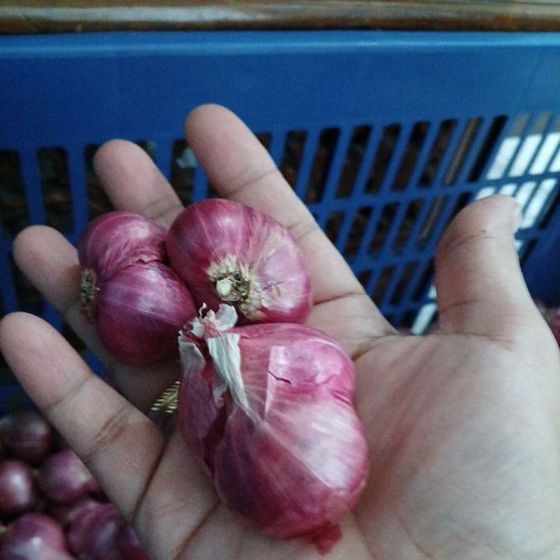 

bawang merah Probolinggo 1 kg