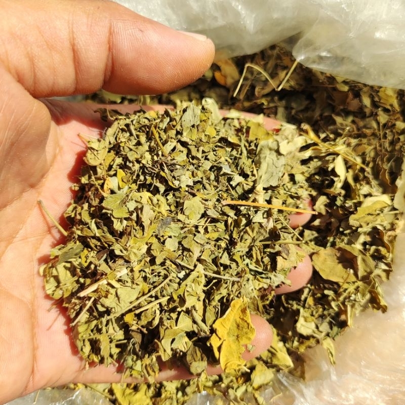 

Kelor Pure Leaves - Moringa Herbal Essence