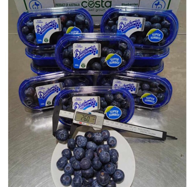 

Blueberry Corindi Australia Super Jumbo Berat 200gram /pack