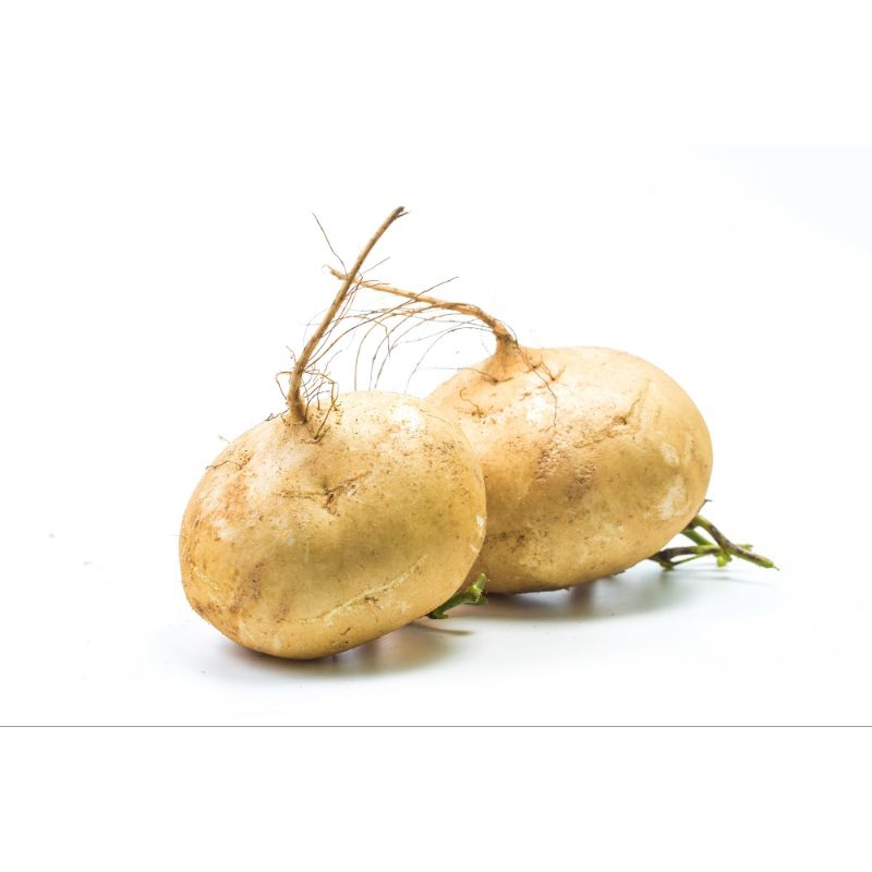 

bengkuang 1 kg