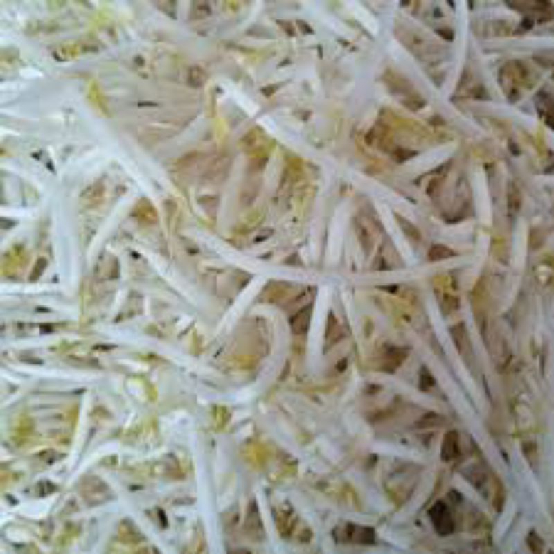 

toge Bangkok/toge jepang 500gram