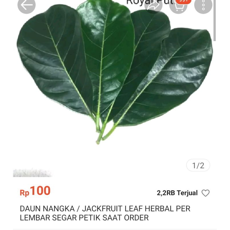 

Daun nangka segar/jeng fruit perlembar