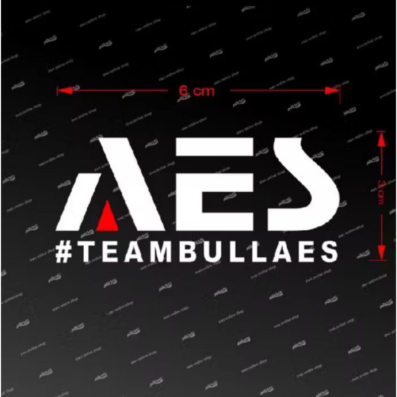 Sticker AES TEAM BULLAES