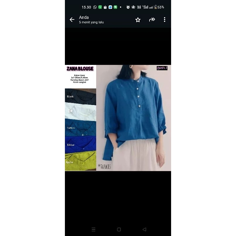 zanna blouse by qaisara