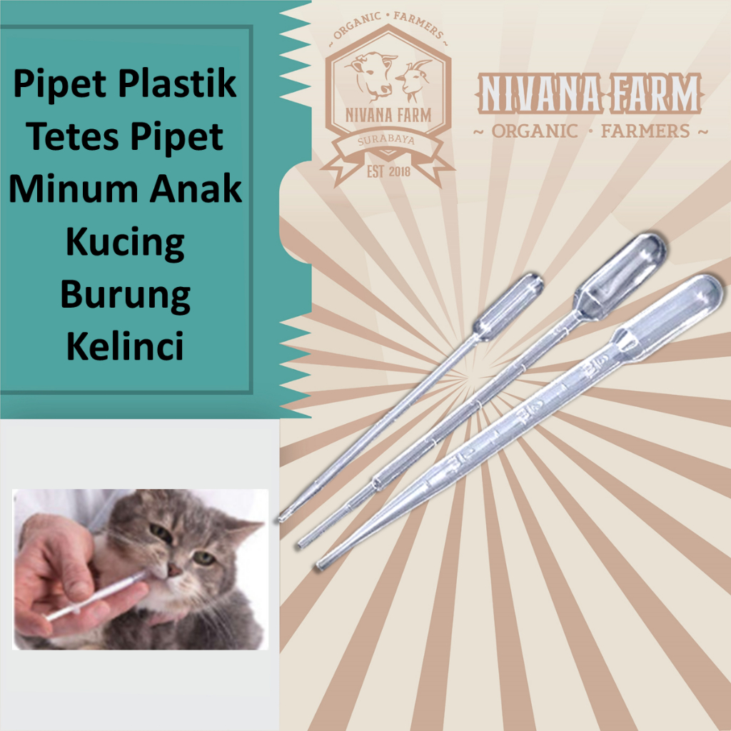 Pipet Plastik Tetes Pipet Minum Anak Kucing Burung Kelinci