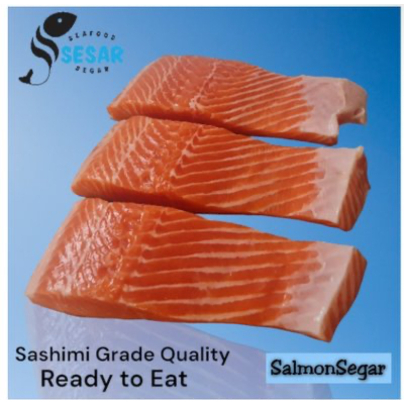 

Salmon segar / Salmon norway / sashimi grade