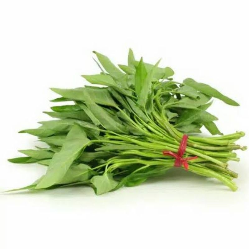 

Sayur Kangkung Segar Pasar Murah Makassar
