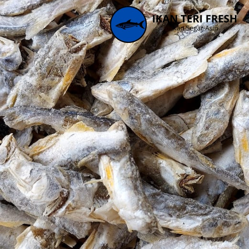 

Ikan Asin | Ikan Kuro Asin | Ikan Senangin Kering Asin 1 Kg