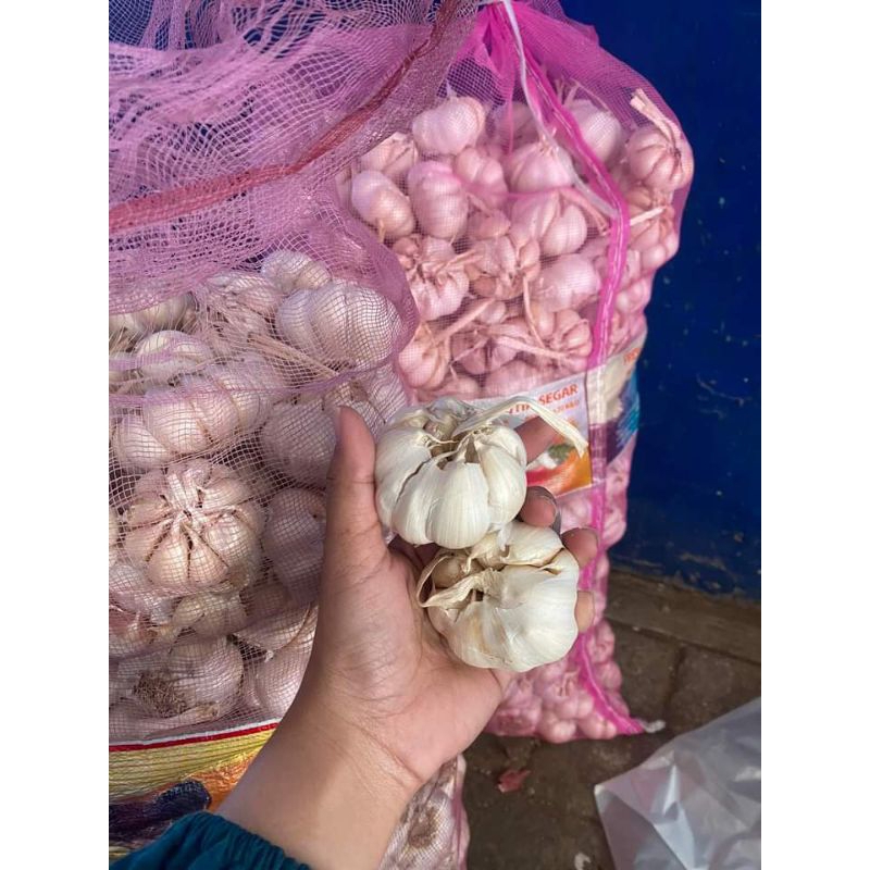 

Bawang Putih Sinco Murah Kualitas Oke bersih