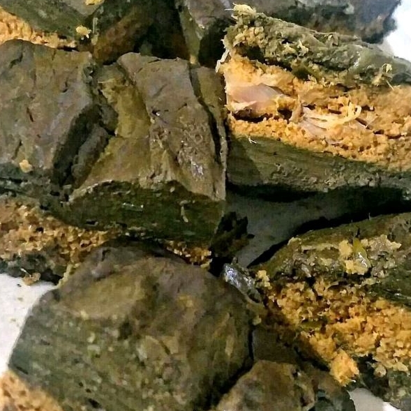 

Pendap Vacum Khas Bengkulu