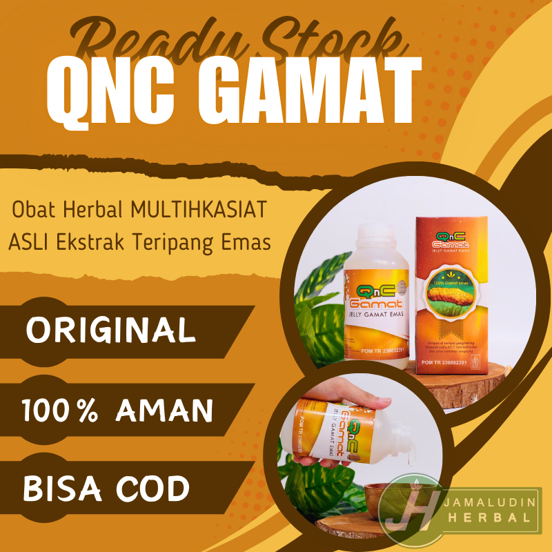 Obat Tradisional Atasi Kista Epididimis, Kista Skrotum, Spermatokel, Varikokel, QnC Jelly Gamat ASLI