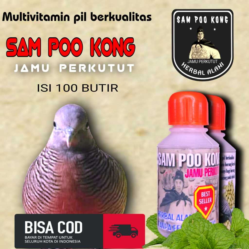 SAMPOKONG PIL HERBAL VITAMIN BURUNG PERKUTUT JAMU PERKUTUT PIL PERKUTUT GACOR OBAT PERKUTUT PAKAN BU