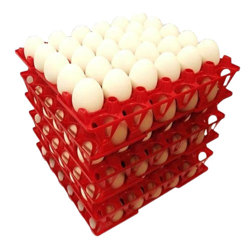 BOX RAK WADAH TATAKAN KOTAK TELUR TELOR AYAM BEBEK/EGG TRAY PLASTIC BERKUALITAS/TATAKAN TELUR EGG TR