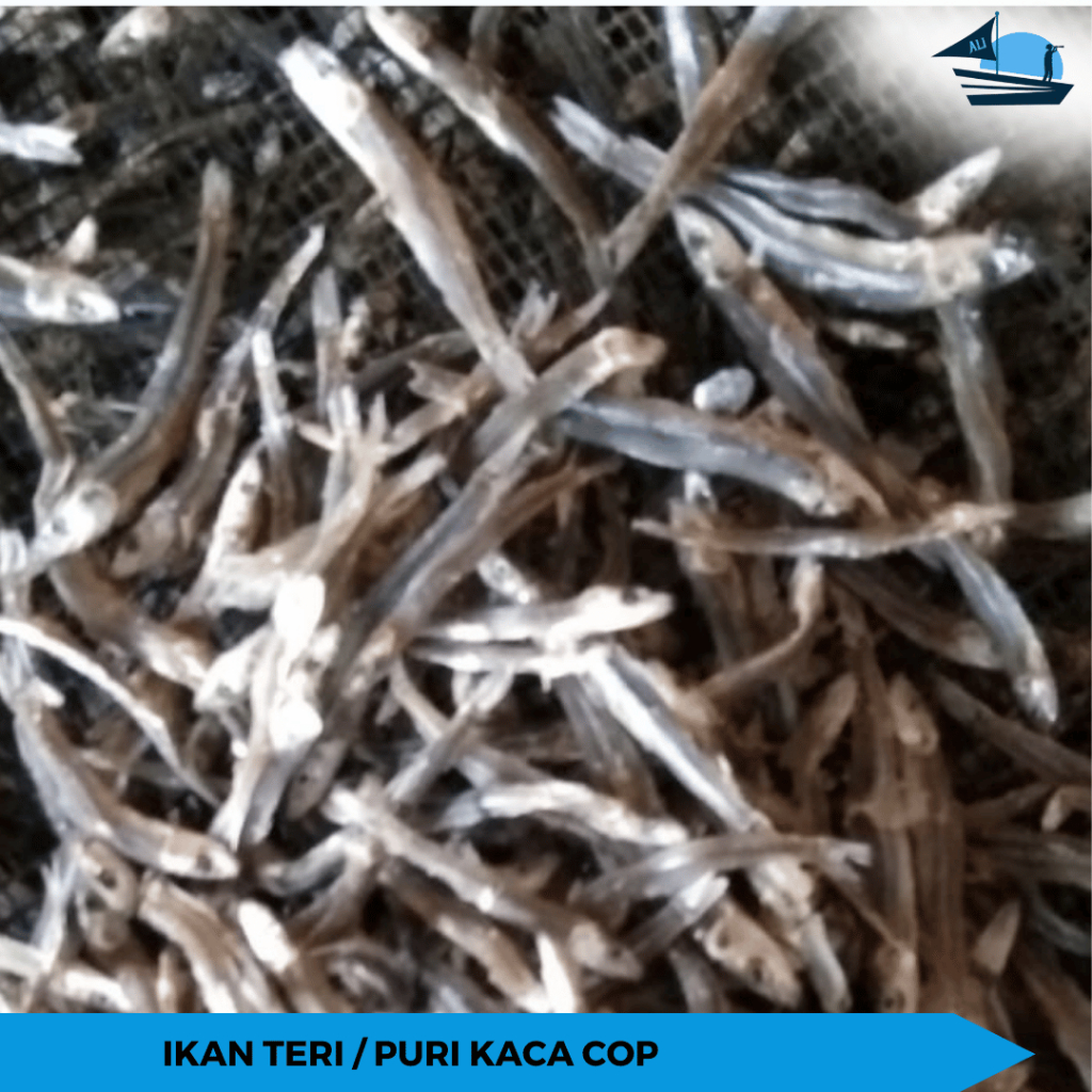 

IKAN TERI / PURI KACA COP | IKAN TERI KERING | IKAN TERI RESBUS | IKAN TERI PREMIUM