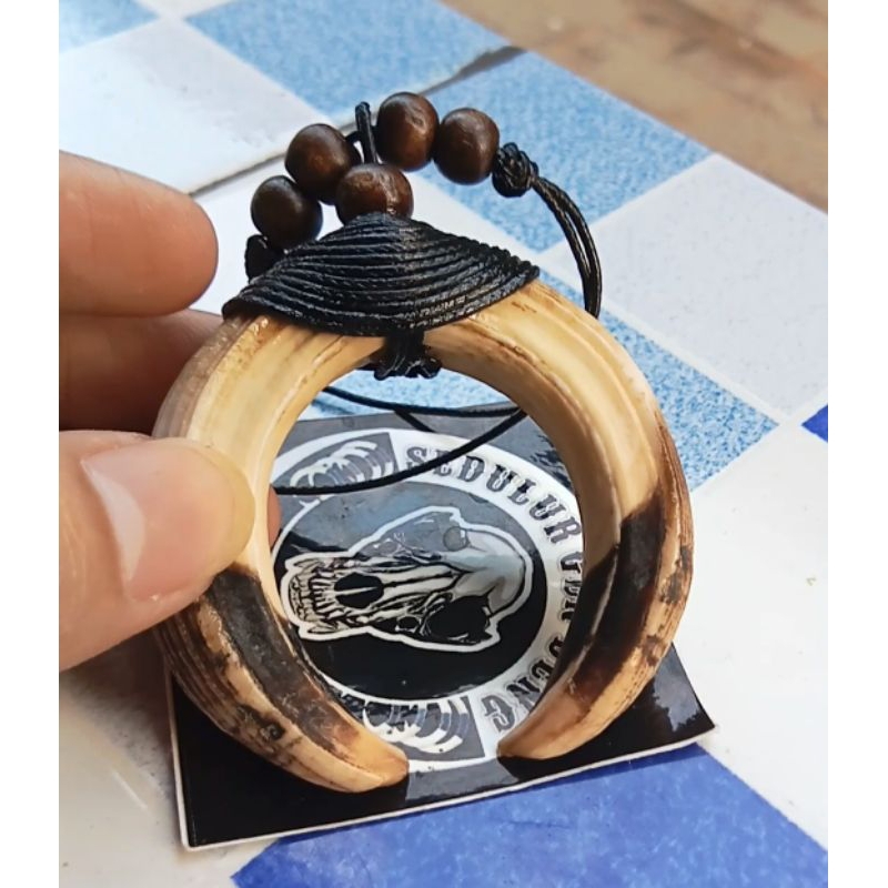 Liontin taring babi asli 100% tarbi atas sepasang