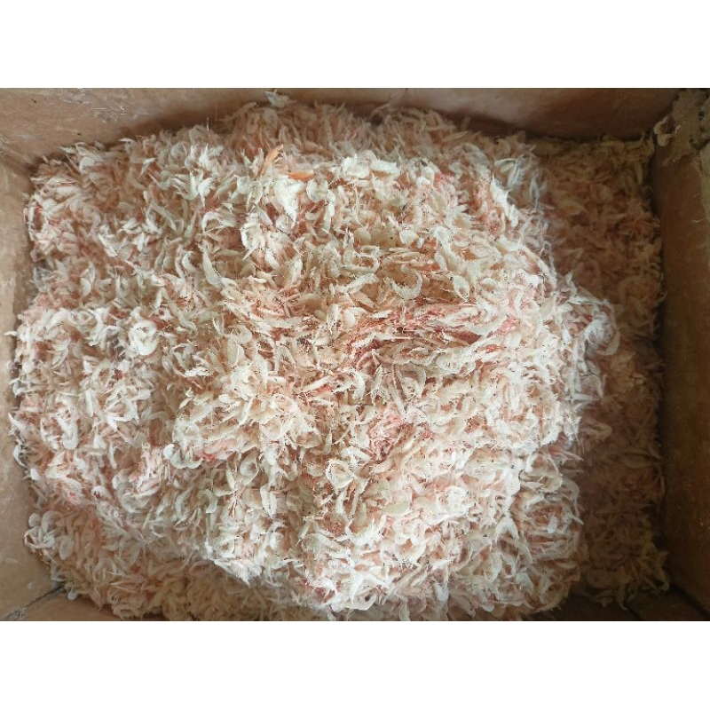 

Udang rebon / teri udang