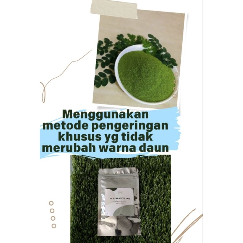 

Moringa Powder Murni/ Bubuk Kelor murni