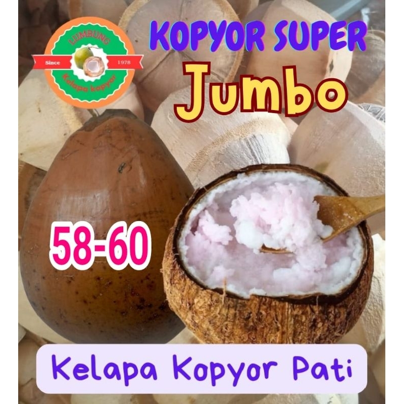 

kelapa Kopyor Jumbo Pati / isi tebal / uk 58-60