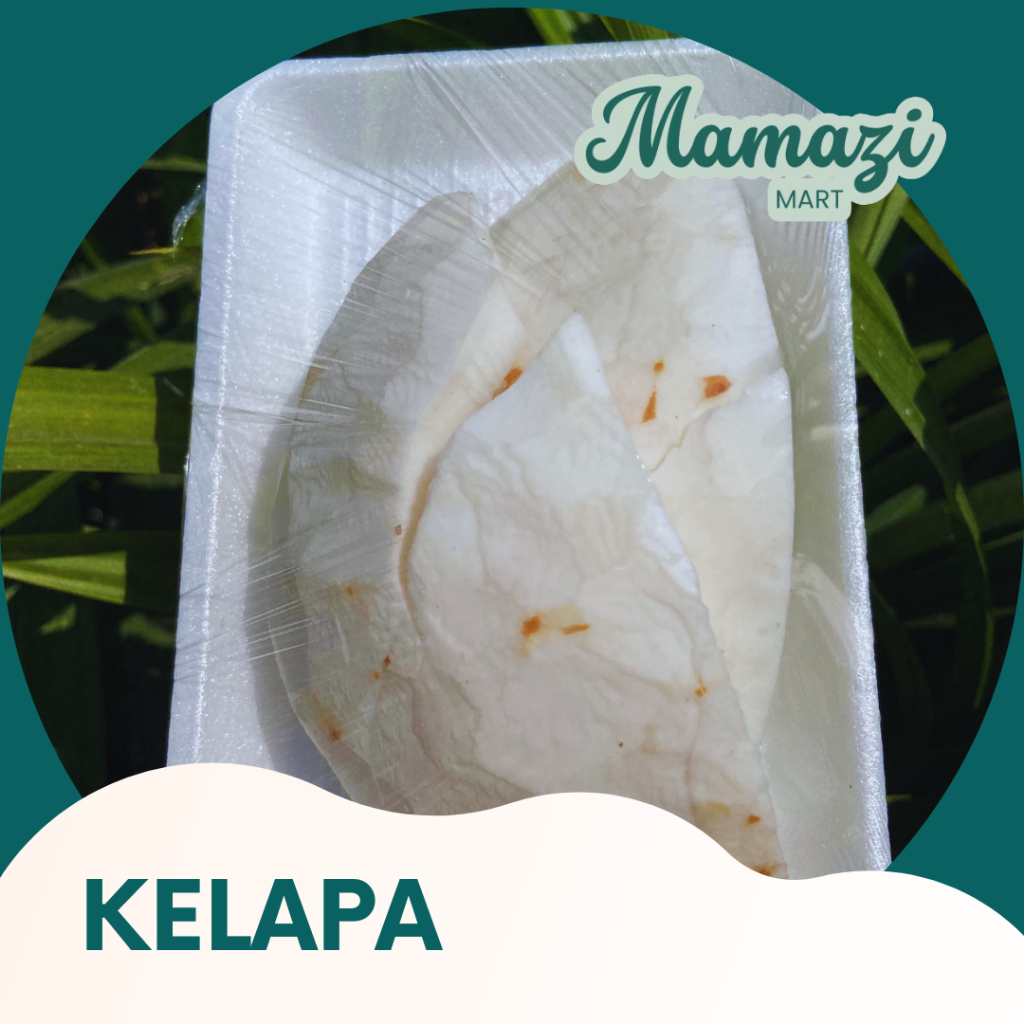 

MamaziMart - KELAPA UTUH KELAPA SERUT