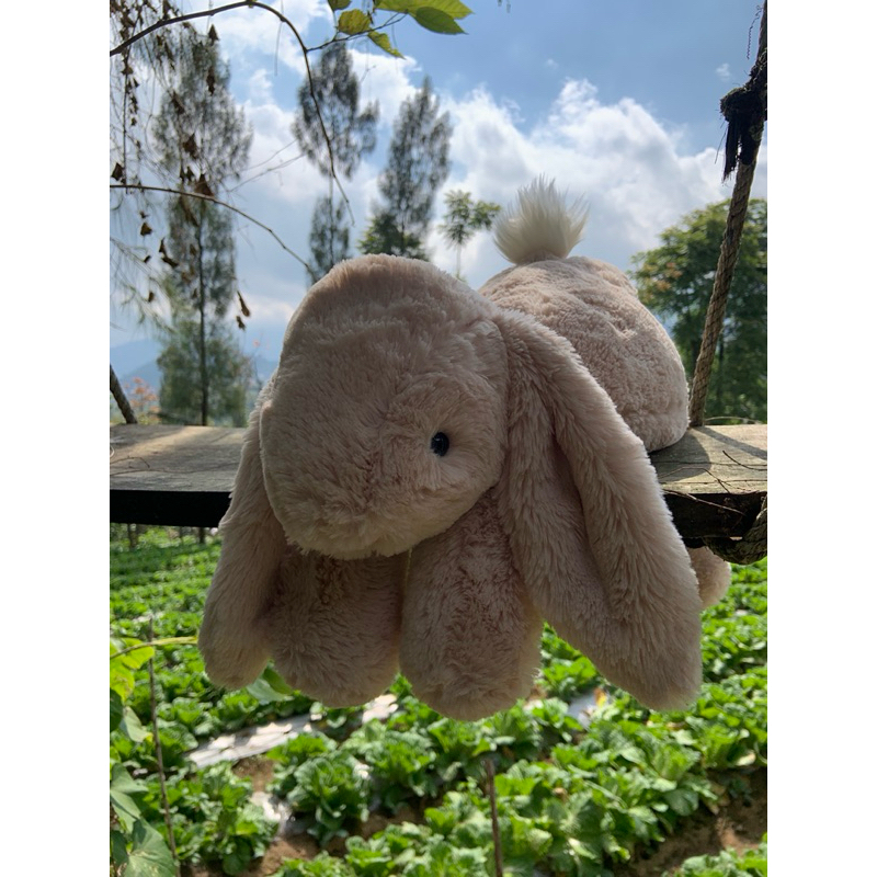 smudge bunny rabbit big
