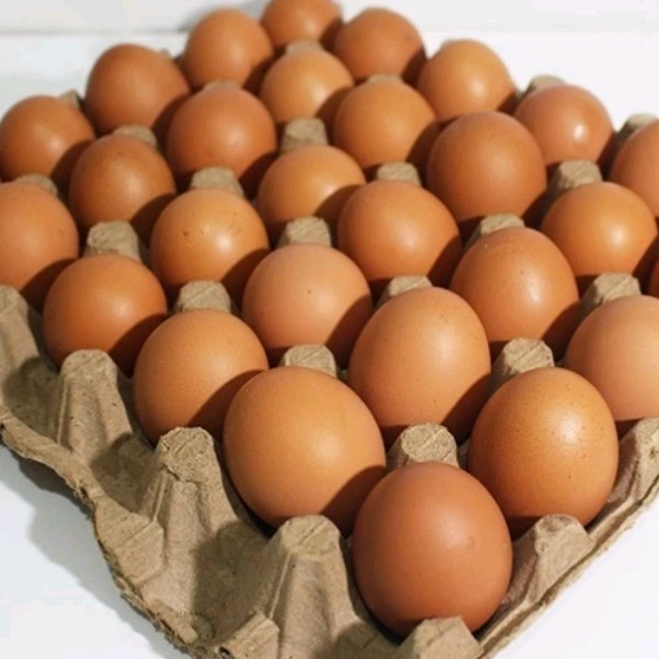 

1 Tray Telur Ayam Negeri Isi 30 Butir
