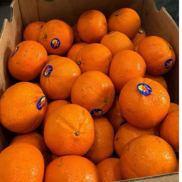 

jeruk marcot australi